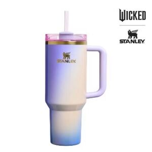 The Wicked for Good Quencher® H2.0 Flowstate™ Tumbler NWT